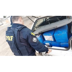 Após perseguição, PRF apreende 265 quilos de maconha em Campo Largo