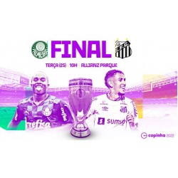 Federação Paulista decidiu pela Arena Palestra para a grande final da Copinha